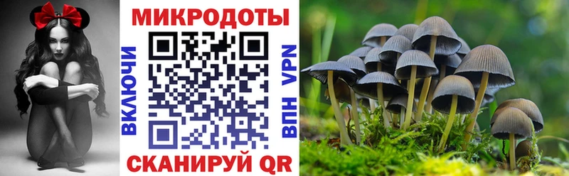 Псилоцибиновые грибы Psilocybe  наркотики  Шахты 